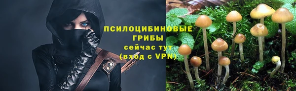 дживик Беломорск