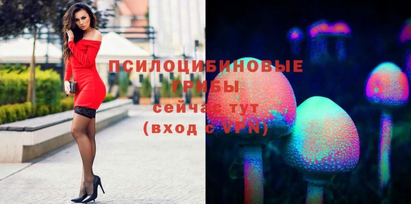 дживик Беломорск