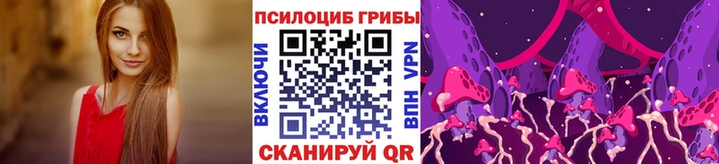 что такое   Торопец  Псилоцибиновые грибы Psilocybine cubensis 